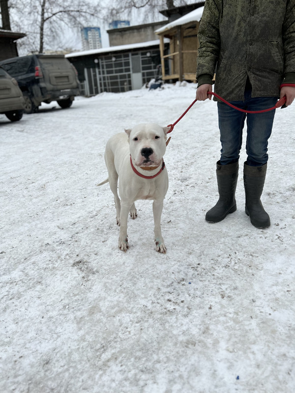 C1D831C4-073D-4F92-AB88-52F2482A4DC9