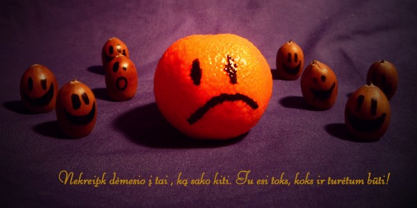 Audrone Gudelaityte, 12 klase (600 x 300)