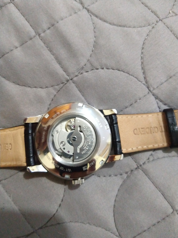 15651389969704315897766067676303