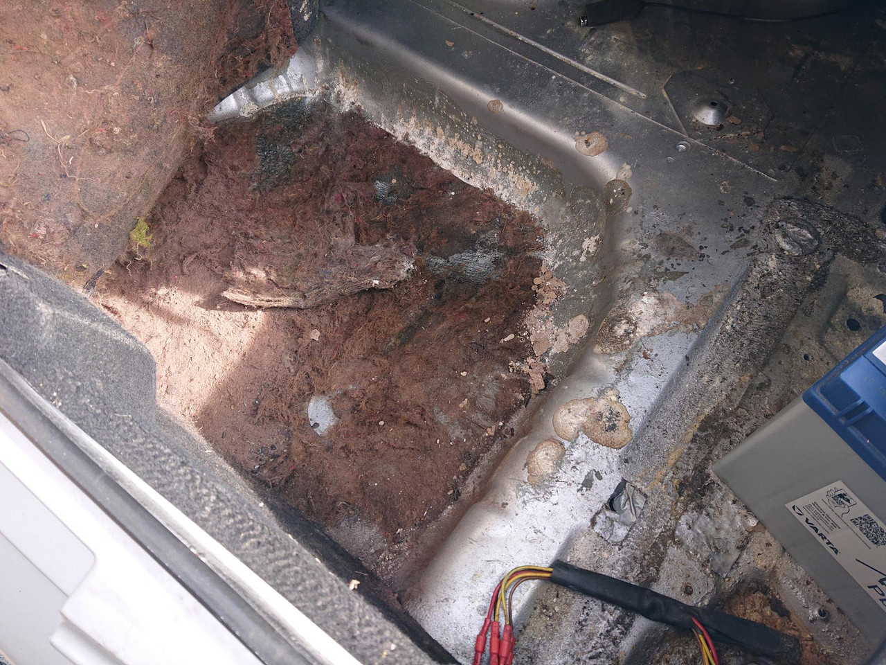 [Image: IMG_20260329_162453.jpg]