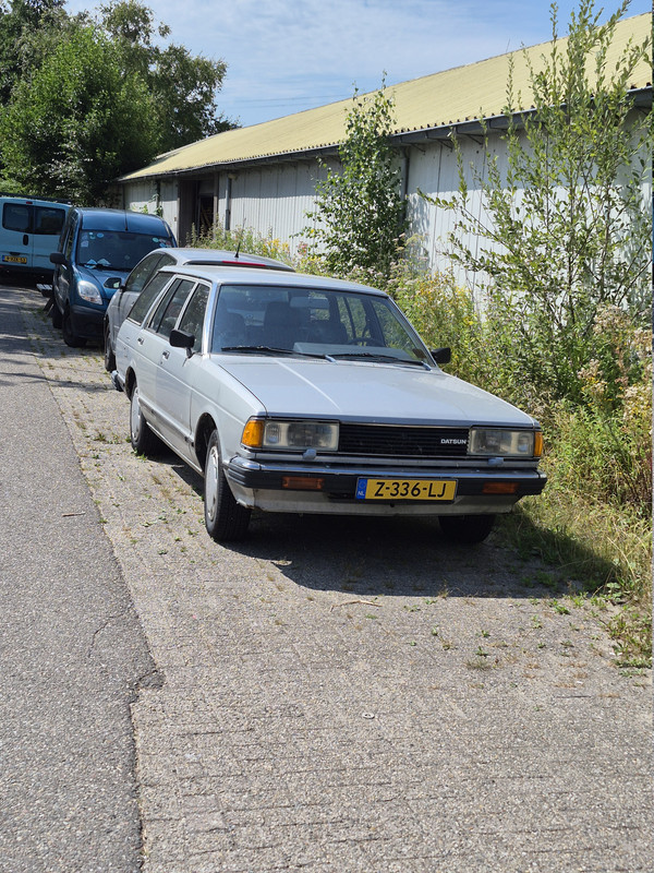 20260804-130742.jpg