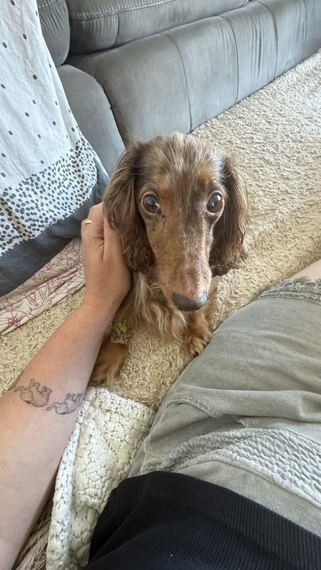 [Image: IMG-3159.jpg]