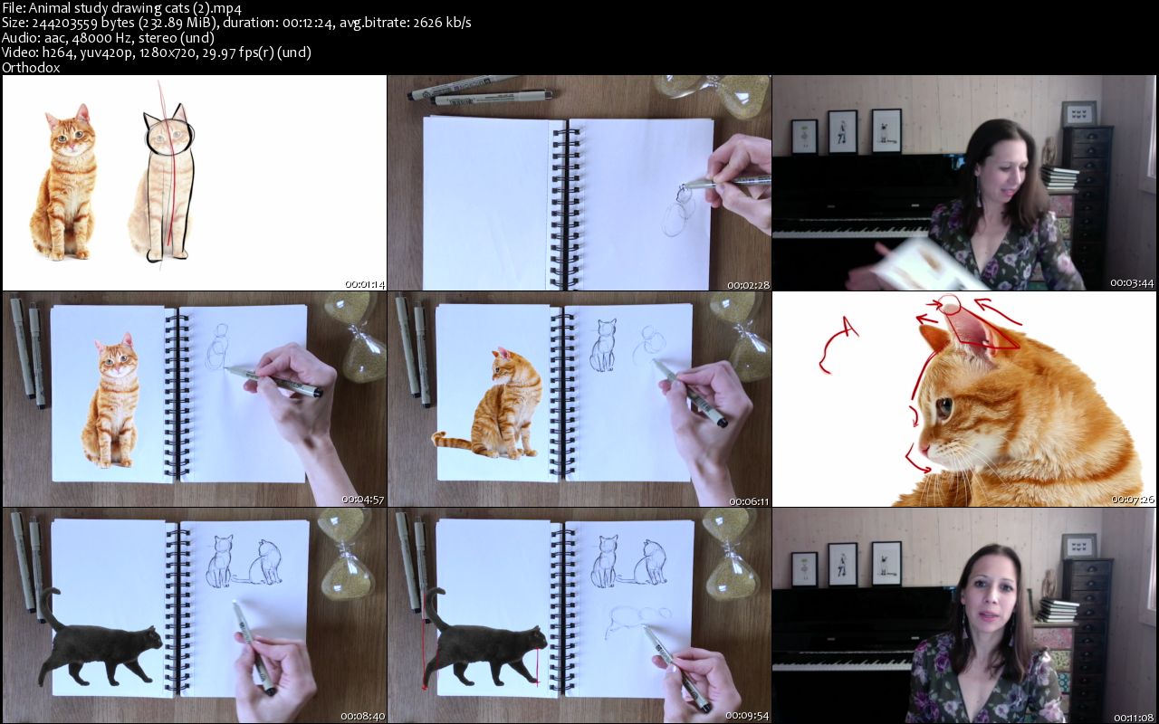 Animal-study-drawing-cats-2-s.jpg