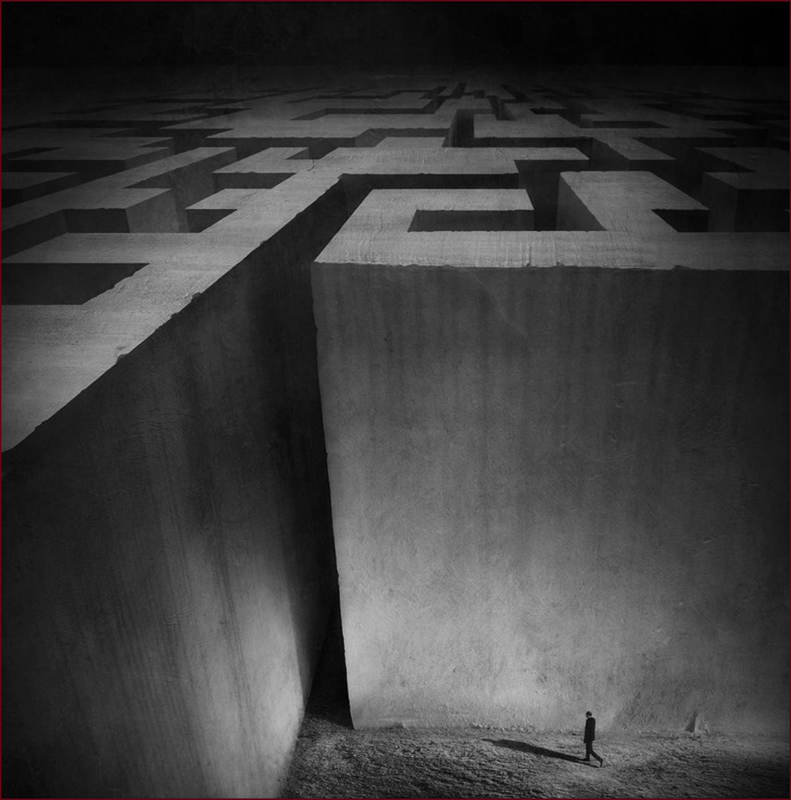 the maze