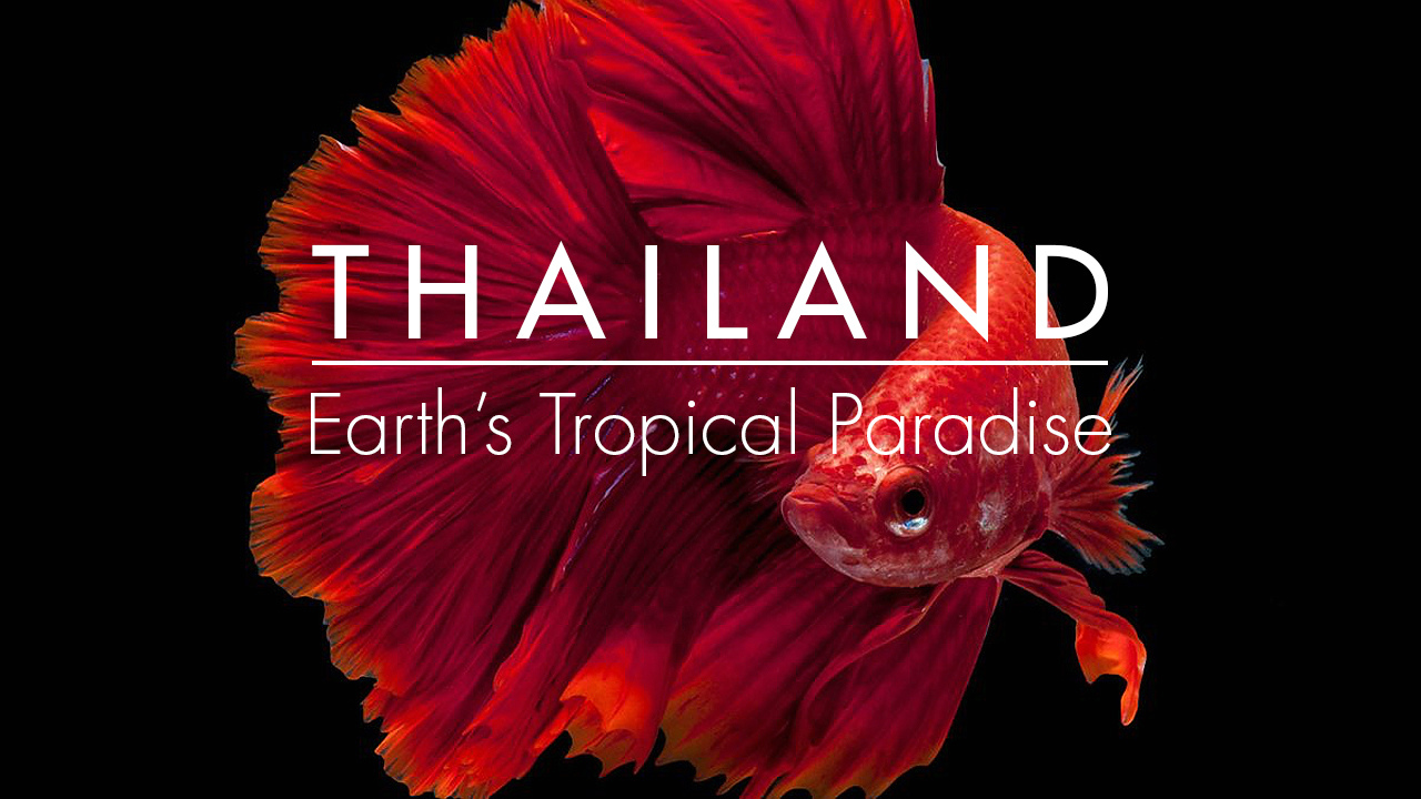 Thailand: Earth's Tropical Paradise S01E01 [BBC 1080p HEVC] ~HR-DR