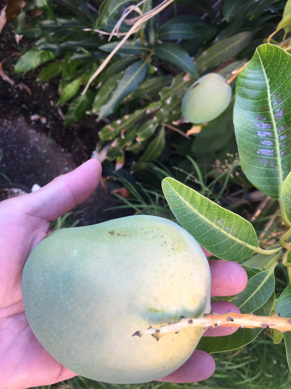 C113A546-B1F3-43E7-92E6-E3C5CAD812A2