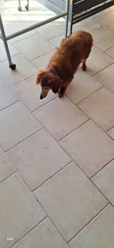 [Image: 20250311-095443.jpg]