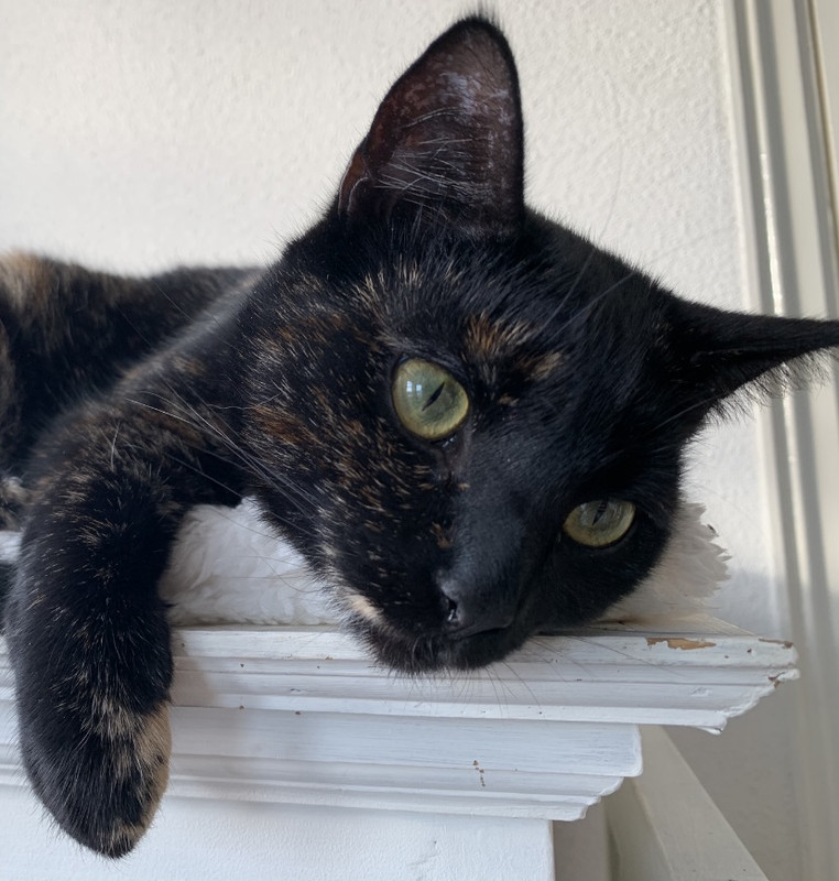 69243766-1FA4-48B1-A45F-88A52F75A497