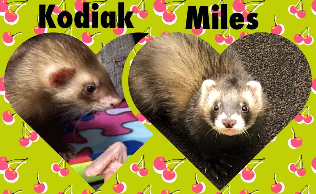 908D33D4-4032-4E43-9F66-CD5DC9CA804A