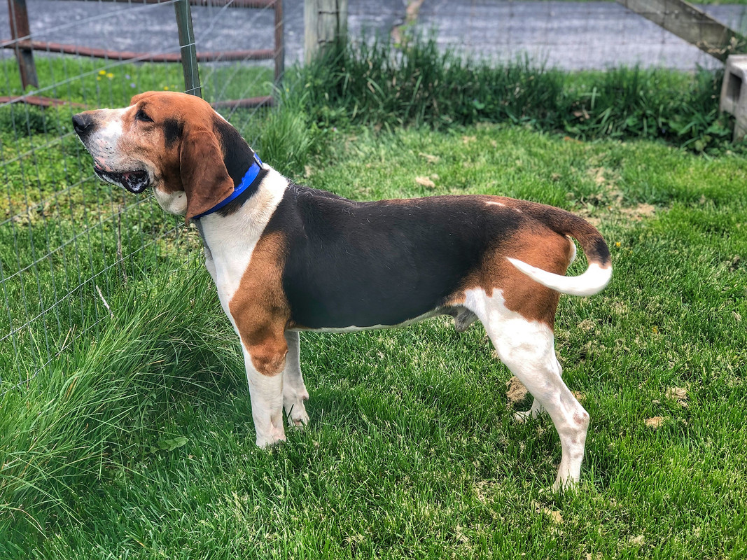 1A920046-456A-4625-8BE2-FA1A12A34854