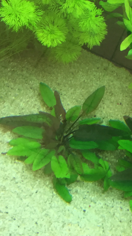 0BD99747-6FBC-466F-AFCC-CB459401BDCC