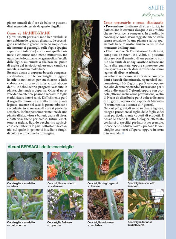 Pol Ver Nov-Dic 2021 (12)