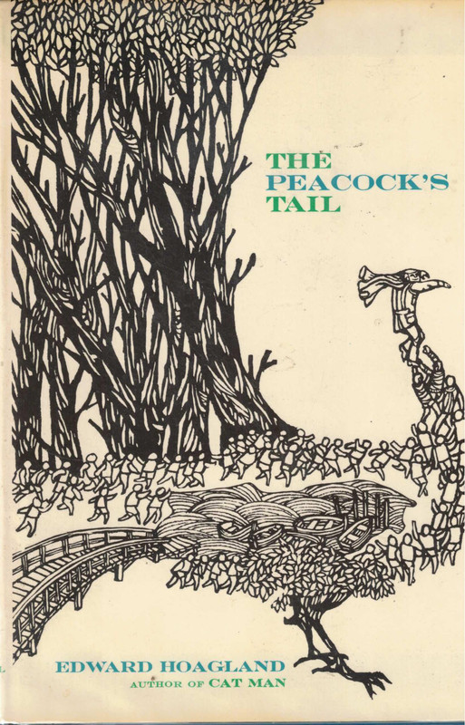The Peacock's Tail