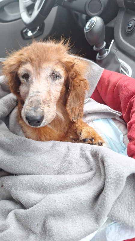 [Image: IMG-20250903-WA0027.jpg]