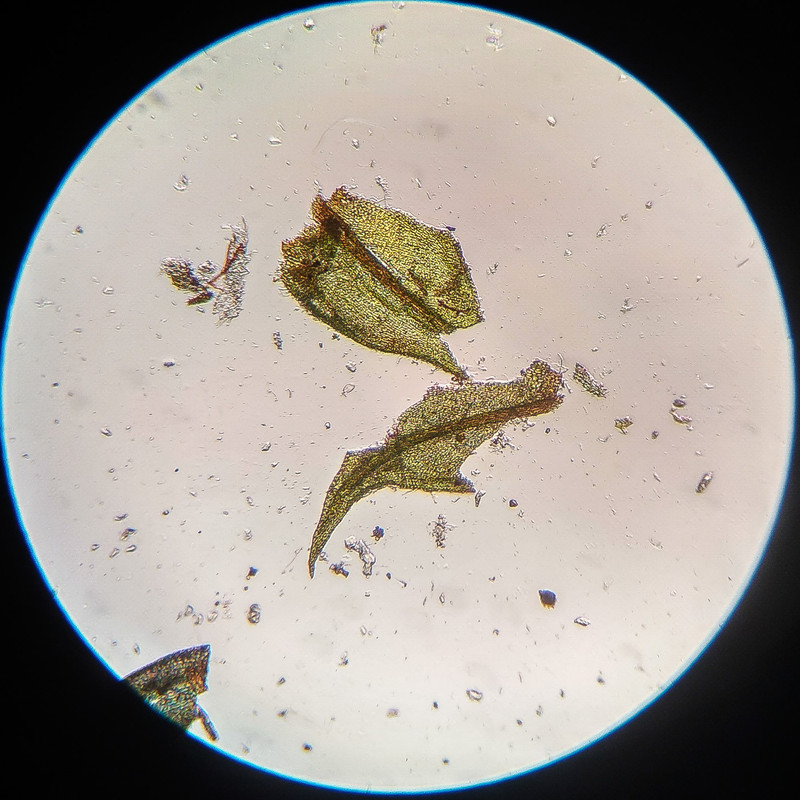 IMG 20250615 221709 HDR