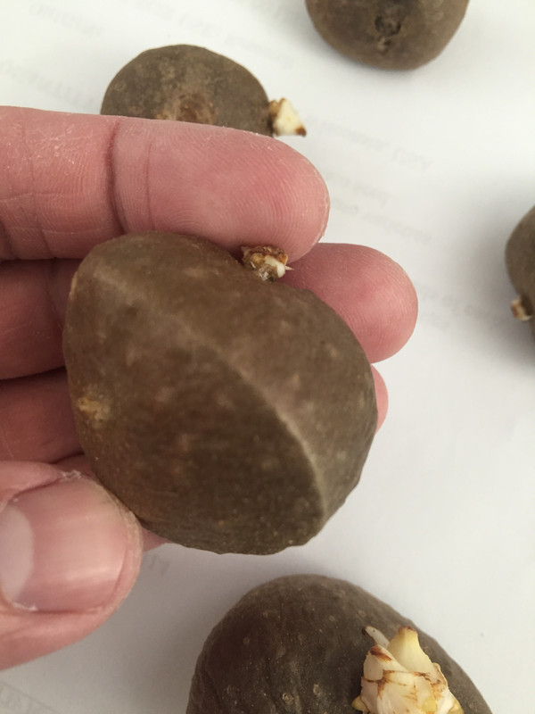 DAE8D14F-C98C-444B-87CC-C023A31362C6