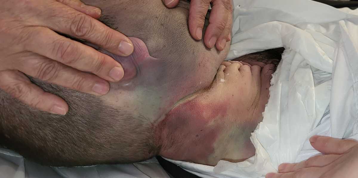 20230508 163858 jpg 6c3eb7f5e151c6d8e4dc5a7a26b67241