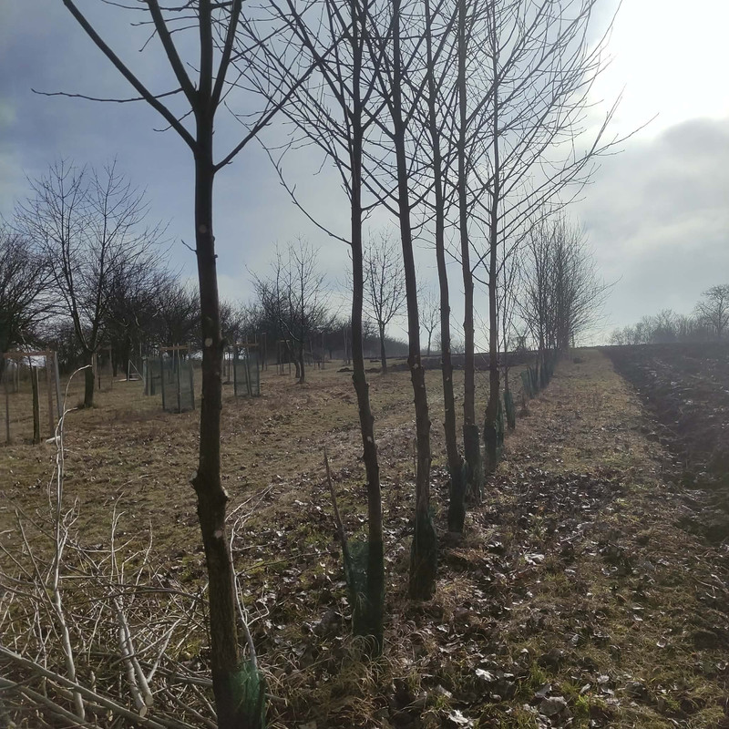 627674586 1965449997515212 4297764576476837408 n