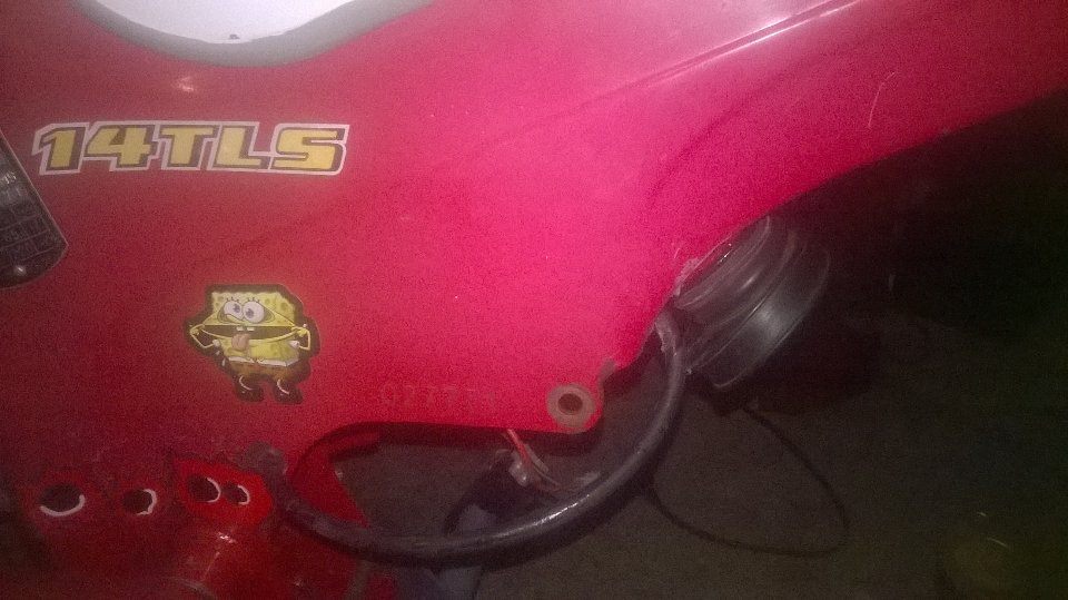 12086869_1215533165139050_529677033_n