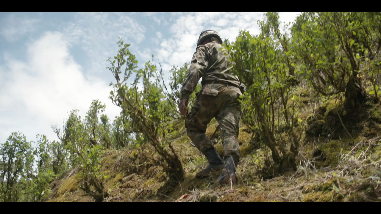 vlcsnap-2020-08-18-16h47m58s291