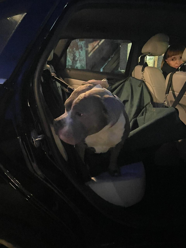 F077CC3F-7C74-4CEF-BC92-669D1B7D299A