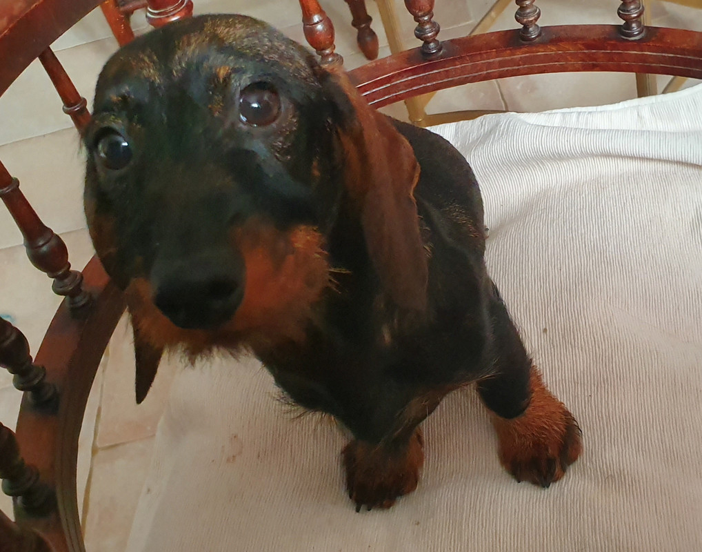 [Image: 20221110-111658.jpg]