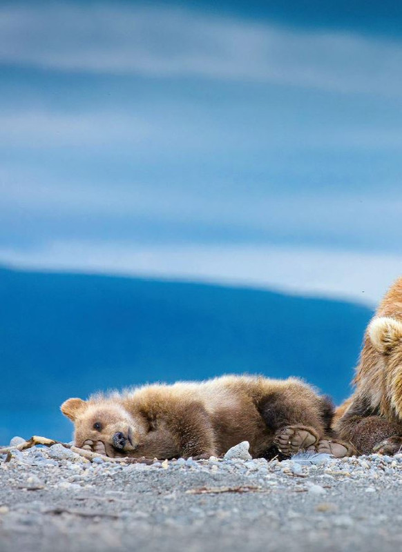 Foc Wil - Lug 2023 (5)