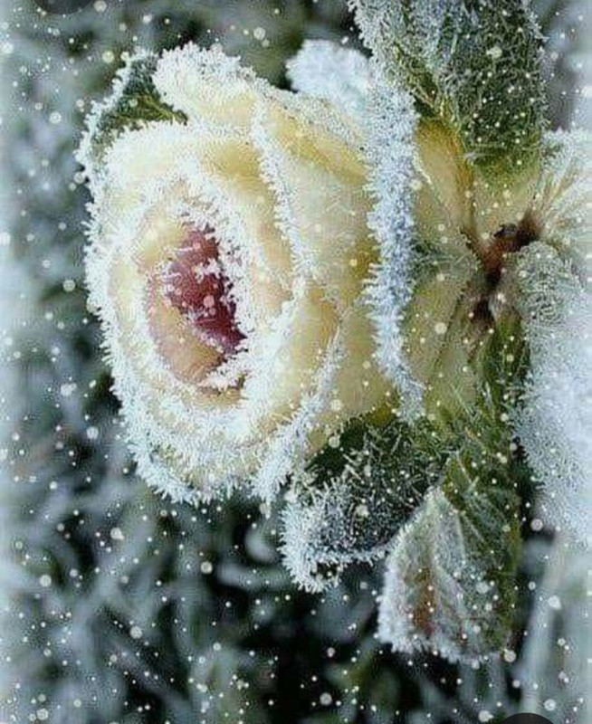 Screenshot_20230329_205203_Pinterest