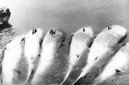 [Изображение: photo-2026-03-30-11-59-06.jpg]