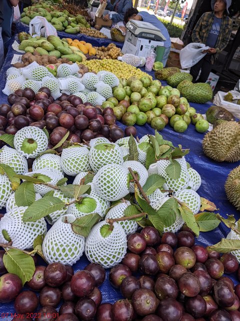 [Image: PXL-20220507-140141710.jpg]