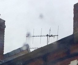 306ECB67-6B23-46A0-A0AF-7AB7F89634B0