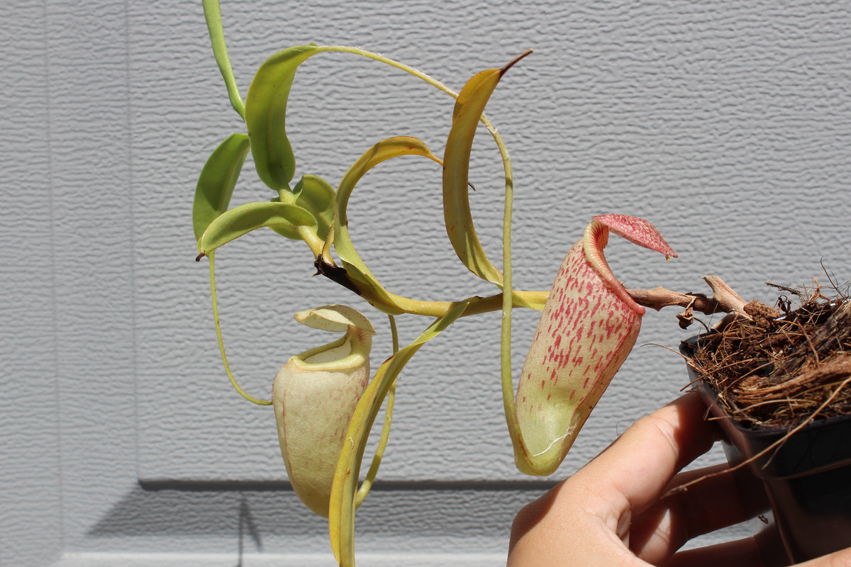 5EE00523-7372-40B3-A13A-60F2B01E62D5