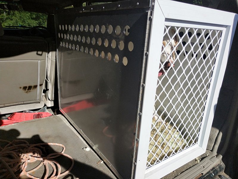 Homemade dog boxes for trucks hot sale