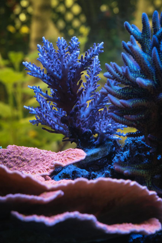 C557506E-C7C2-400A-A80B-5C6F7B753C23