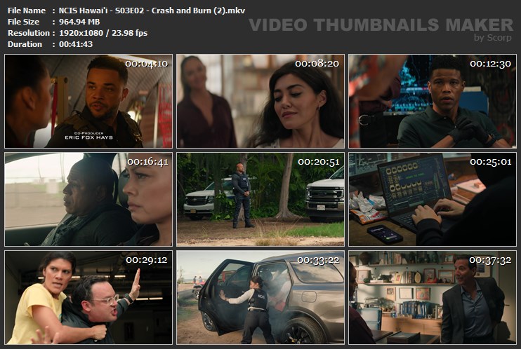NCIS Hawai'i - S03E02 - Crash and Burn (2).mkv