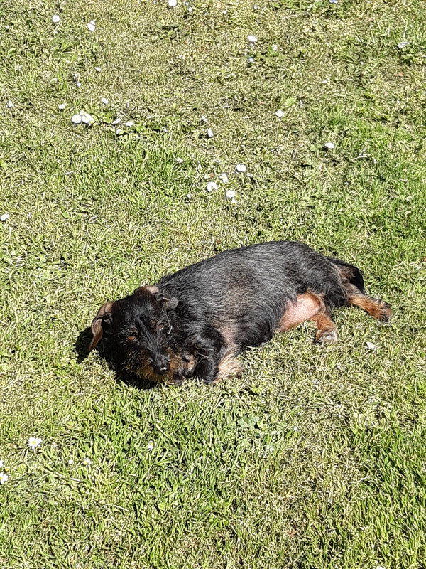 [Image: 20230405-152131.jpg]