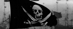 IMG-3802.gif