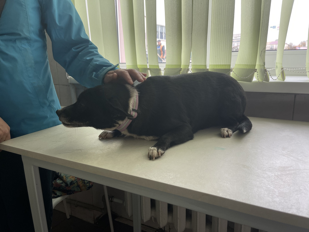 1CE688C6-3650-4C8D-81C7-72A45B44E90D