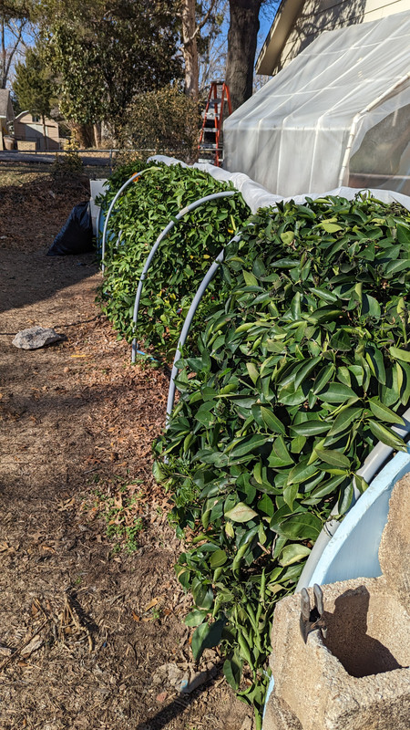 PXL_20221231_175050753