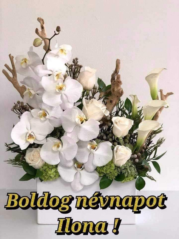 FB_IMG_1723918794502