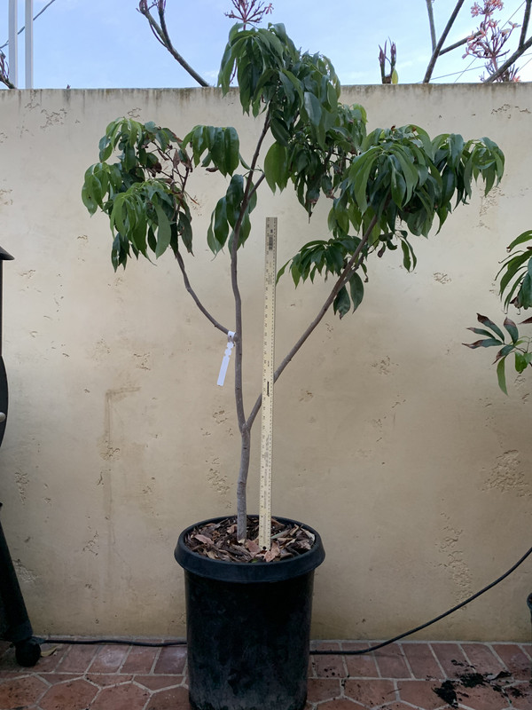 62371539-92F6-4575-B957-E8E15746C766