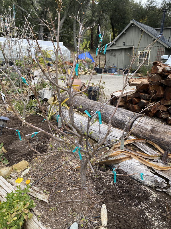 FDA1311E-3263-47B9-92E1-3AD40693F882