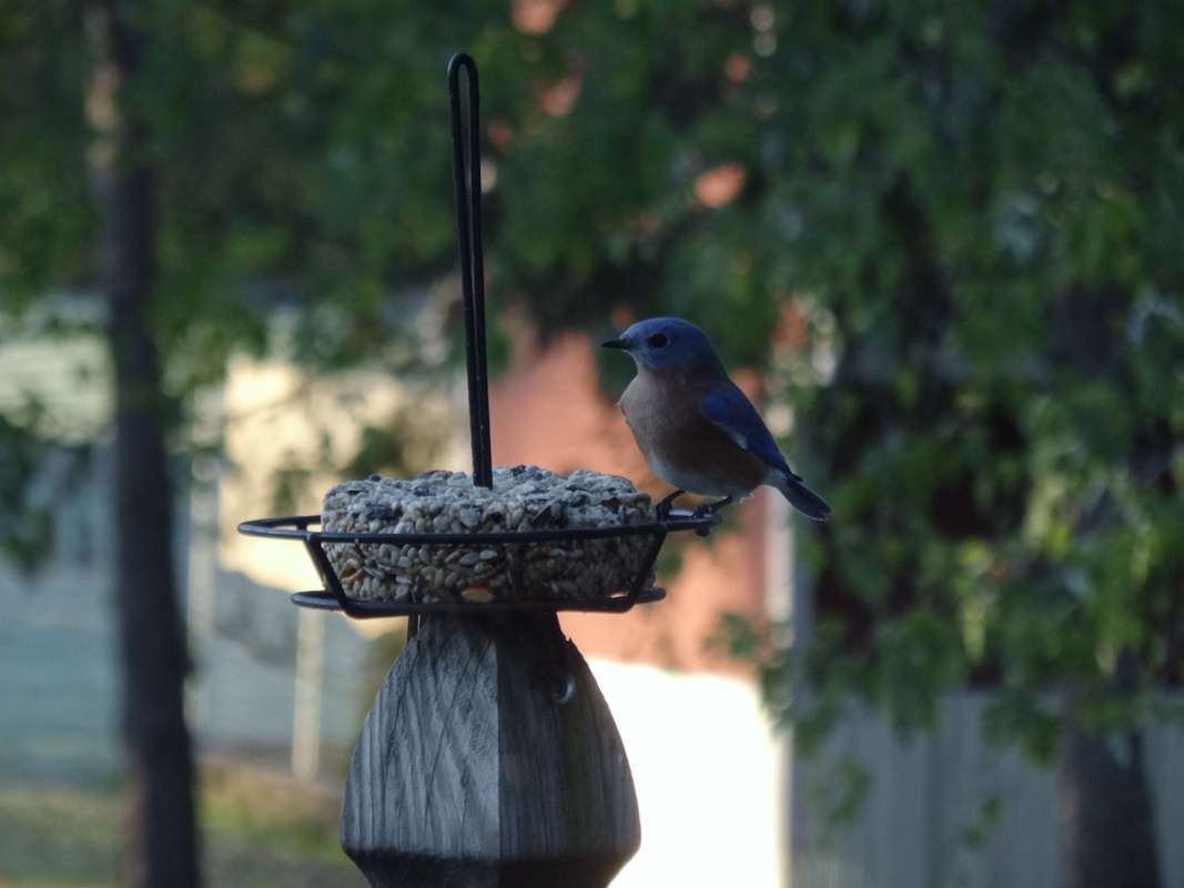 F1B5EC64-5A2C-4754-8714-4E583D3C18FB