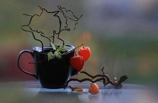 [Image: 70622a056b6ca2473bea7da52f00f244-image-flower-power.jpg]