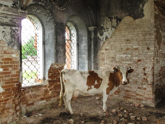 Изменение размера IMG_7898