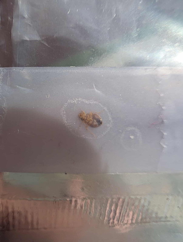 received_1034857628632072