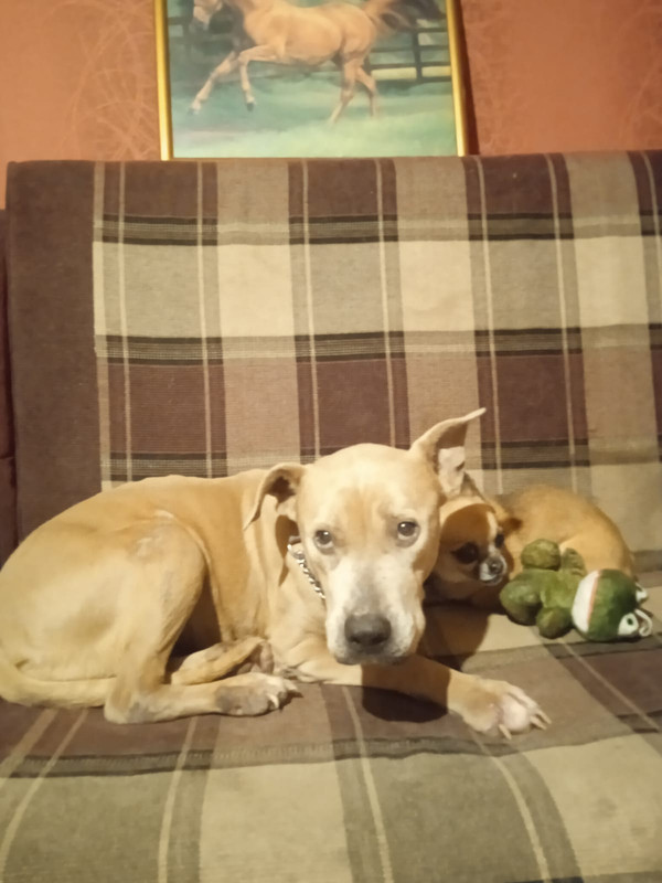 1EE7D830-1E55-438D-9BE9-D8C831C4A00B