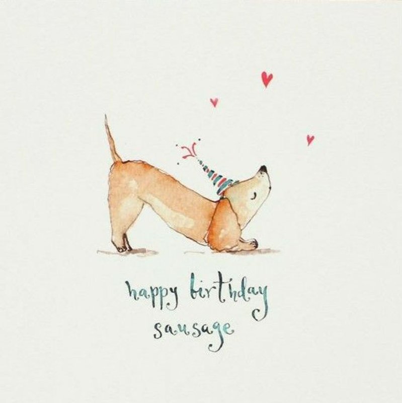 [Image: Anniversaire-teckel-40.jpg]