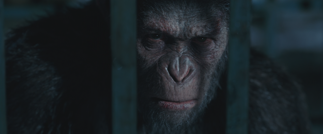 War for the Planet of the Apes (2017) [1080p x265 HEVC 10bit BluRay AAC 7.1] [Prof]