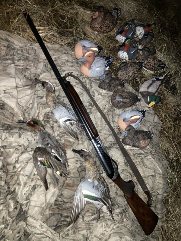 EC7339D2-F48C-4C00-9915-E9D121C97F37